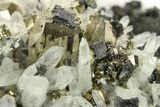 Gleaming Striated Pyrite Crystals with Quartz - Peru #287609-2